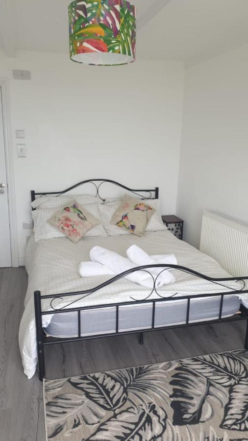 Woodlands Bellevue New Quay (Ceredigion) Extérieur photo