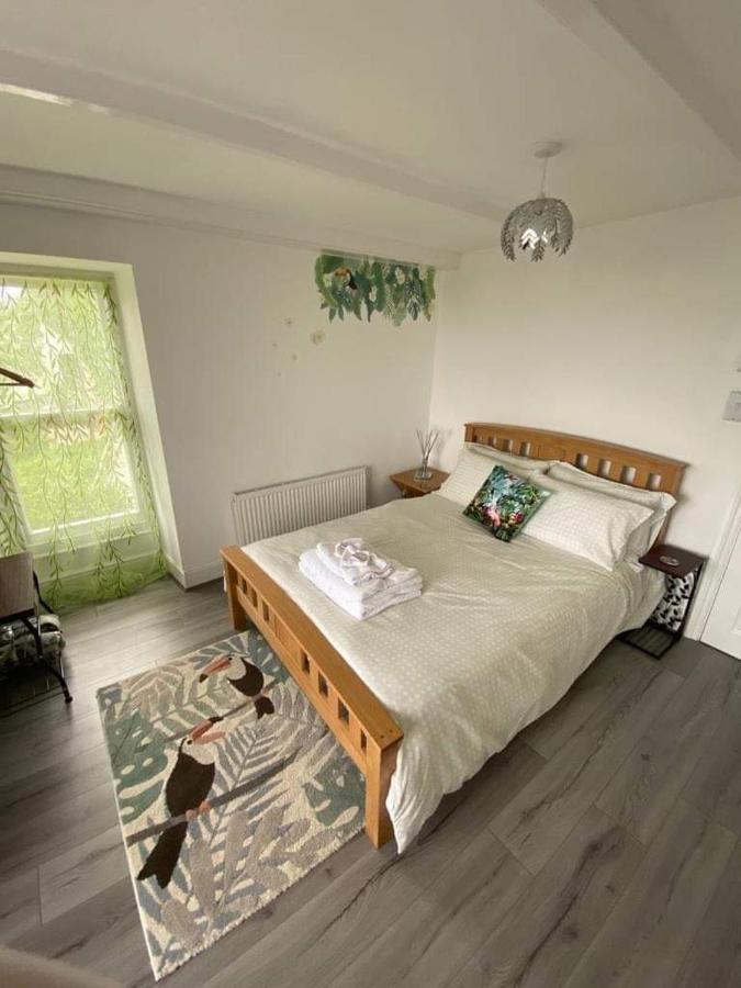 Woodlands Bellevue New Quay (Ceredigion) Extérieur photo