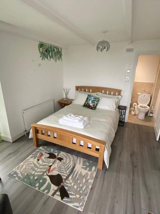 Woodlands Bellevue New Quay (Ceredigion) Extérieur photo